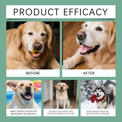 Pet Oral Spray for Dogs Cats Fresh Breath Clean Teeth Remove Plaque Tartar No Rinsing Bad Smell Mouth Harmless Healthy Care