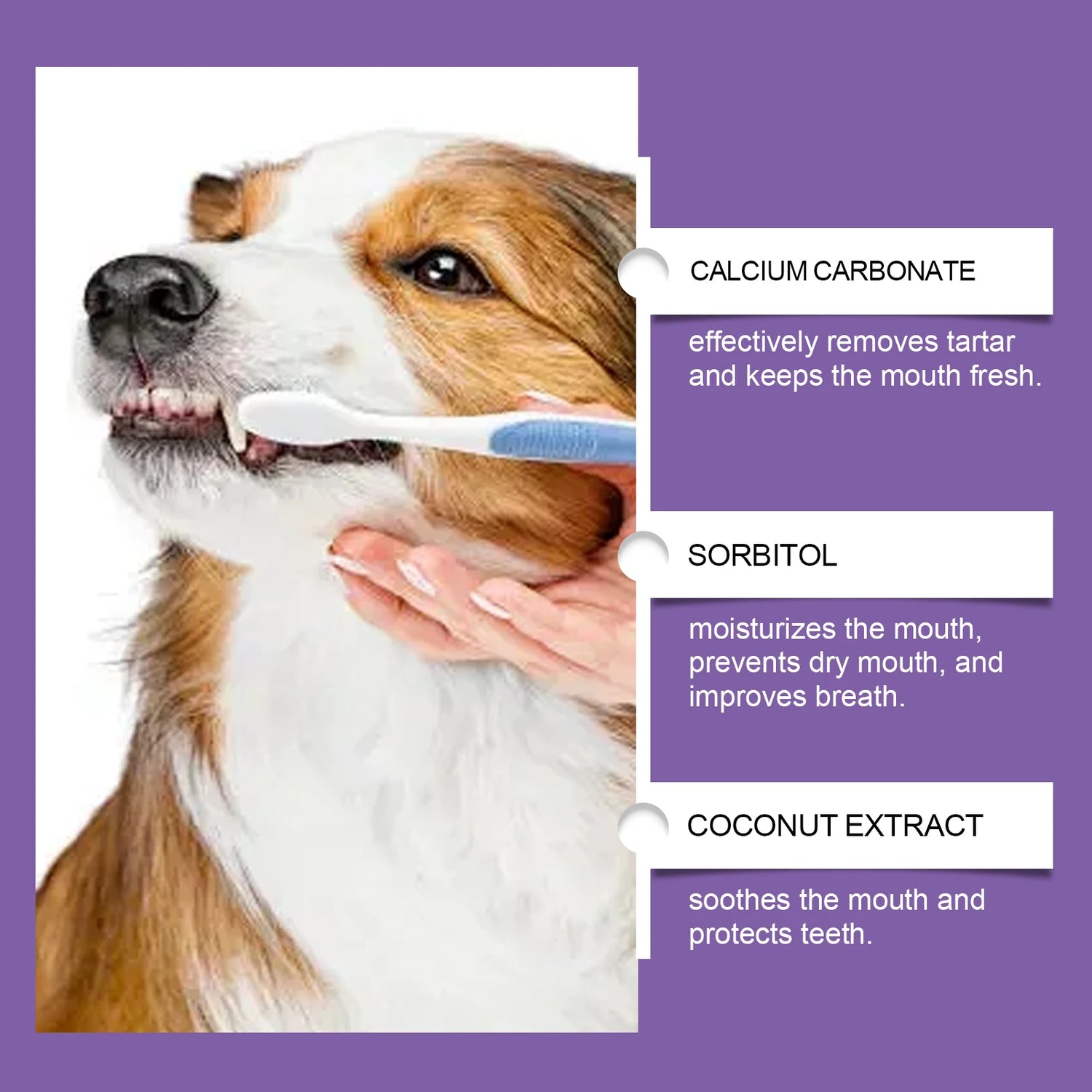 Probiotic Toothpaste for Pets:Eliminates Plaque,Freshens Breath,Gentle Teeth Cleaning&amp;Oral Care,Shared by All Household Pets