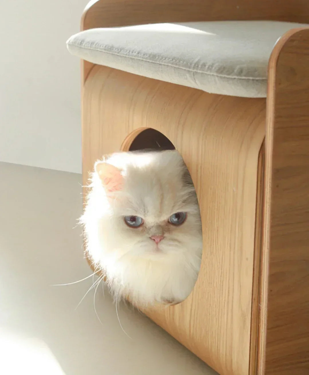 Pet Home Design Curved Wood Bedside Table Cat Nest House Multifunctional Cat Bed