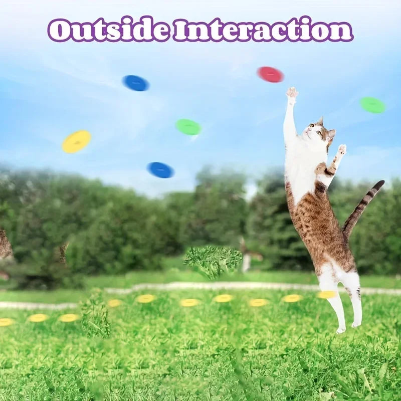 Cat Dog Toy with Colorful Flying Discs Set, Pet Toy Gun Launcher Interactive Toys for Kitten Indoor &amp; Outdoor Training Chasing
